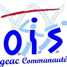 logo_ois.jpg