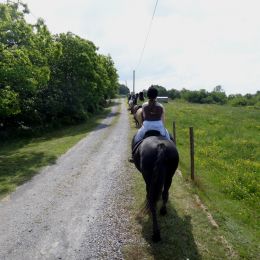 Equitation