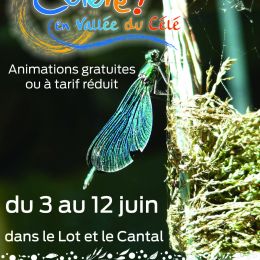 AfficheA3_Celete_internet.jpg