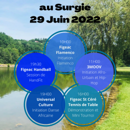 affiche-journee-sports-surgie.png