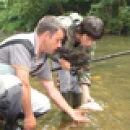peche5.jpg